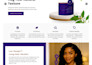 create a high converting shopify store or dropshipping website